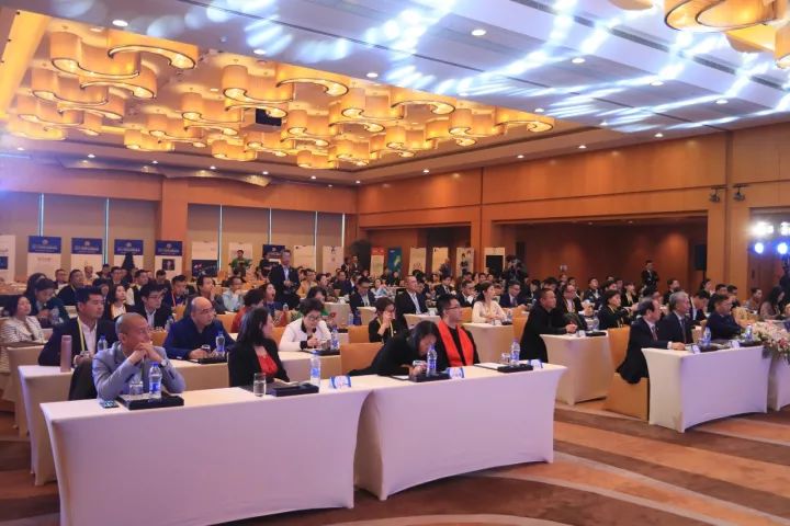 2017世界品牌500强 在上海震撼发布(图3)